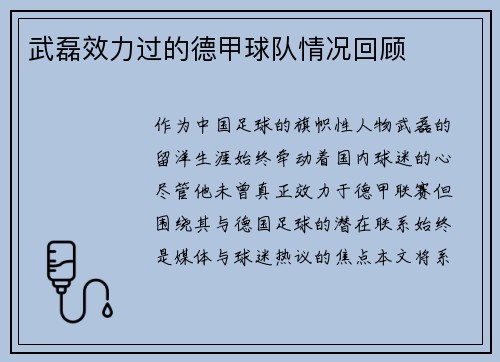 武磊效力过的德甲球队情况回顾